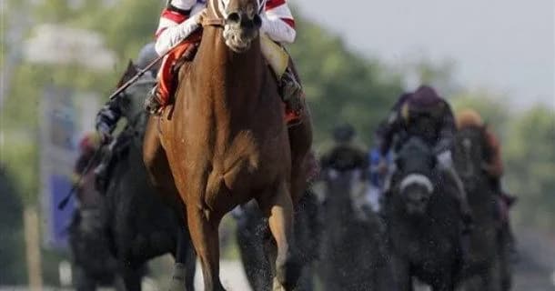 【3月5日(土)阪神12R注目馬】伝説の500万を勝ちあがった馬を見直す