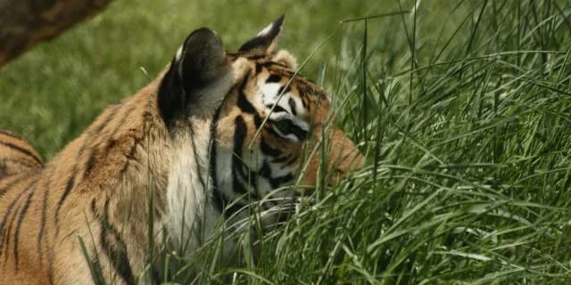 【スプリングS2016回顧】本番へ向けて伏兵も揃った気配有り