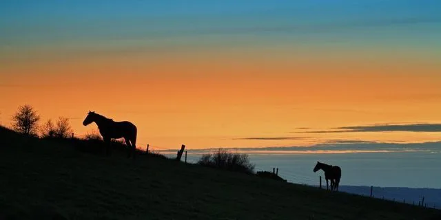 この時期ジョッキーにとって油断ならない最終レースの落とし穴とは？