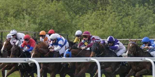 【毎日杯2016回顧】ノーステッキでの完勝・スマートオーディン