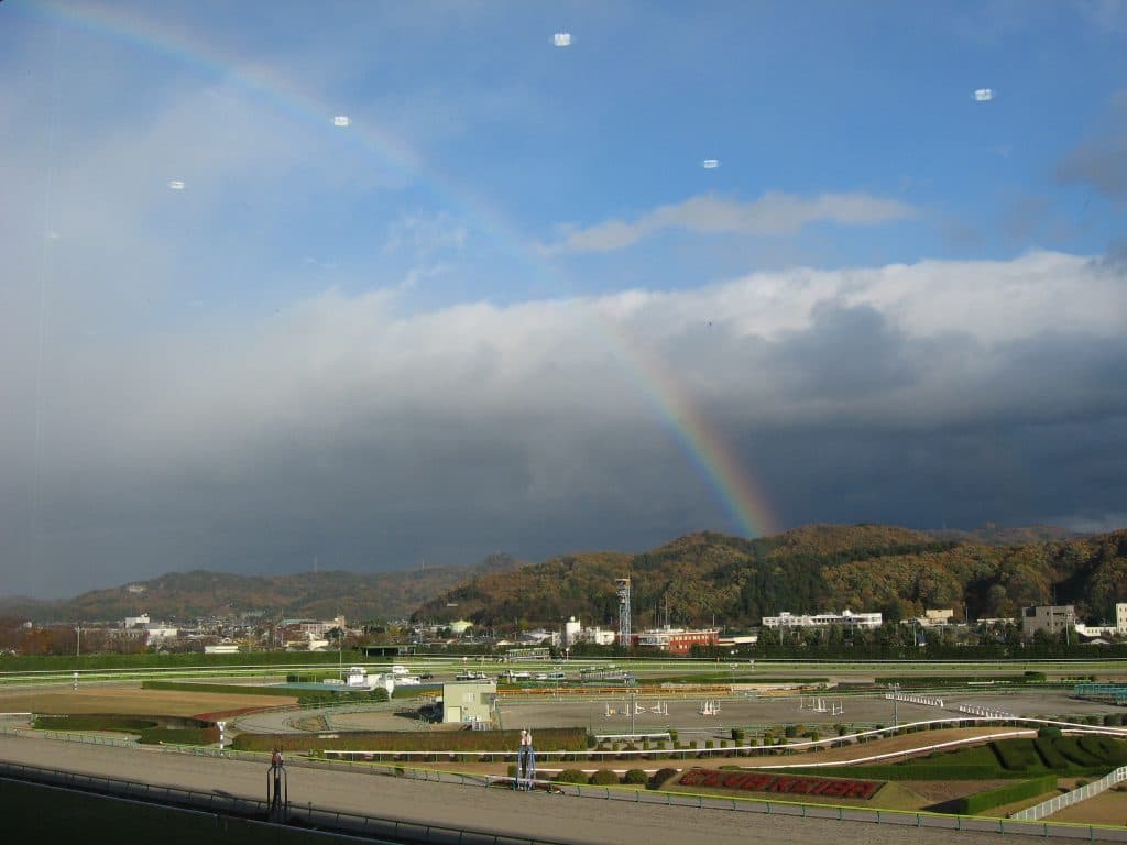 個人・ネット投票では味わえない、友人と競馬場へ行ったときのローカルルールなど