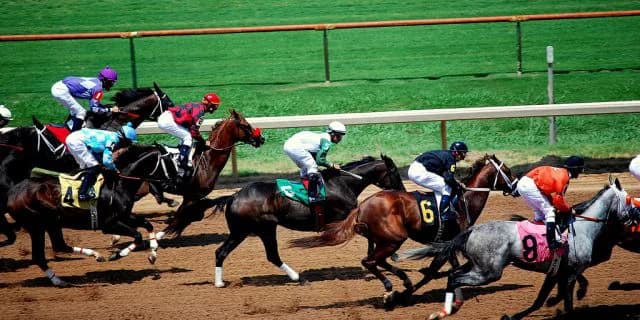 チューリップ賞(G3)有力馬情報・ジュエラーの3戦目に要注目