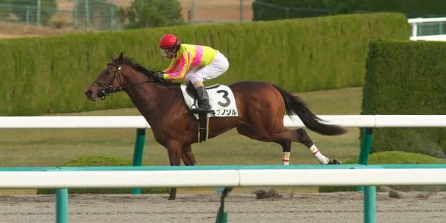 【マーチS2016予想】キクノソルが走る気満々で荒れる名物ハンデ戦を激走！