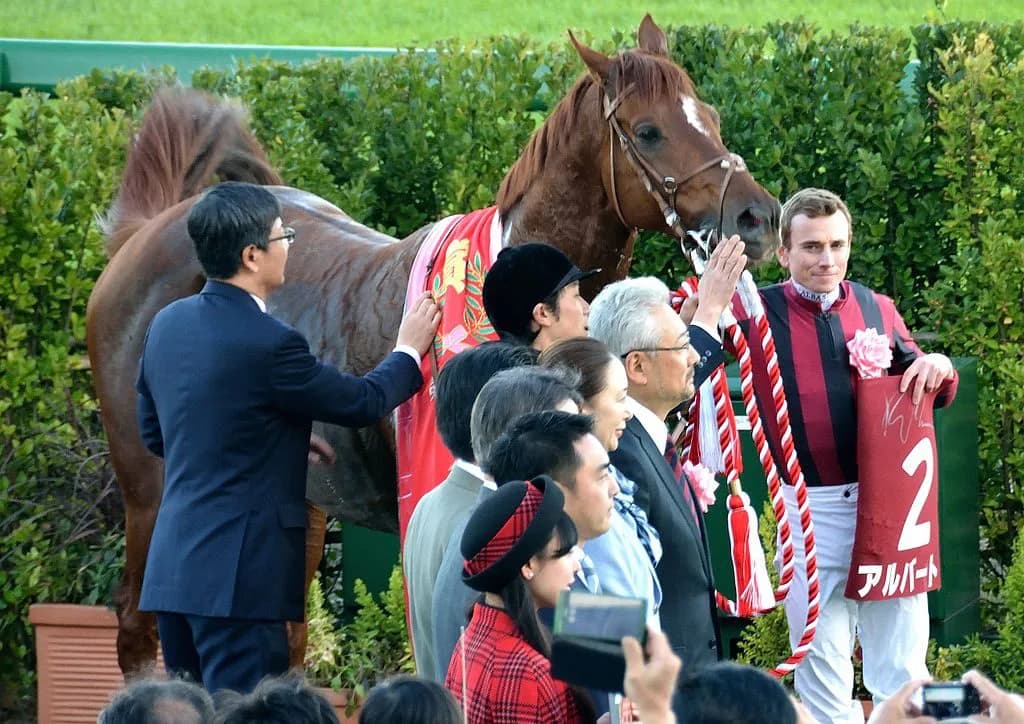 【ステイヤーズS予想2017】3連覇濃厚か?今年も“長距離王”アルバートの一強ムード