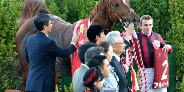 【ステイヤーズS予想2017】3連覇濃厚か？今年も“長距離王”アルバートの一強ムード