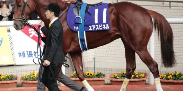 【日本ダービー2016予想】○強から漏れても良血の覚醒に期待したいエアスピネル