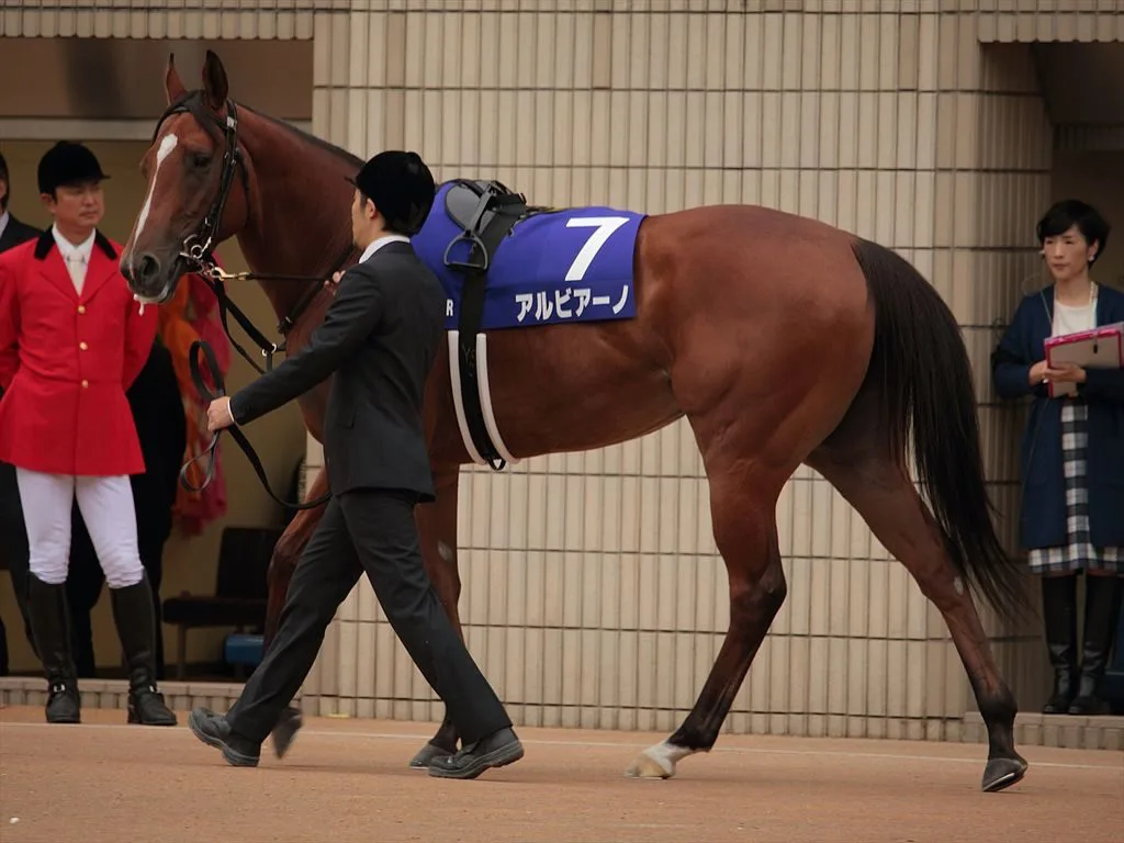 【高松宮記念2016有力馬】有力牝馬アルビアーノの短距離適正に期待