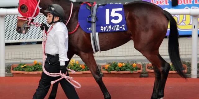 【フィリーズレビュー2016有力馬】キャンディバローズ持ち味の競馬センスで抜けだせるか