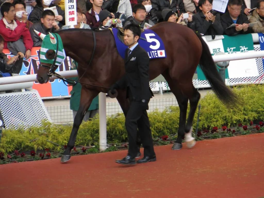 ジャパンカップの再現？第1回コリアカップ＆コリアスプリント