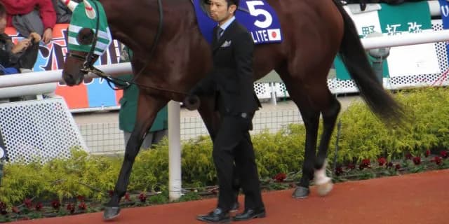 【3月9日（水）船橋11Rダイオライト記念予想】注目はクリソライトの相手探し