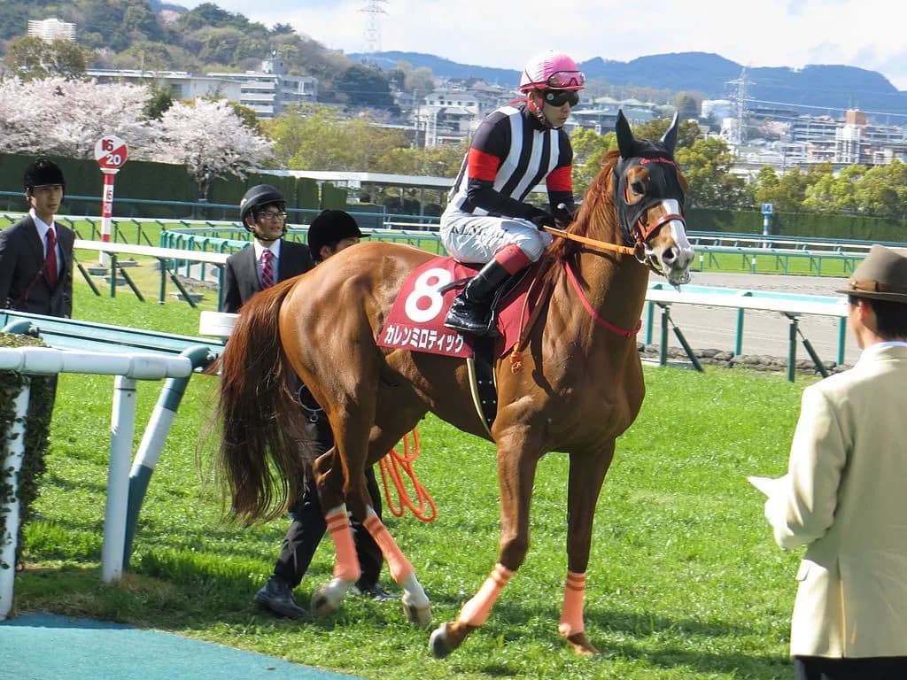 海外競馬発売第2弾・メルボルンカップにカレンミロティック出馬