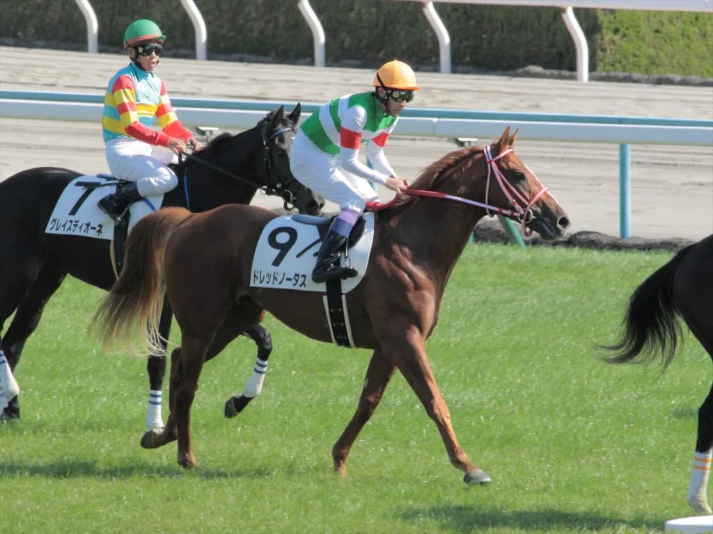 JRA京都記念（G2）ドレッドノータス、京都で再度の大駆けなるか