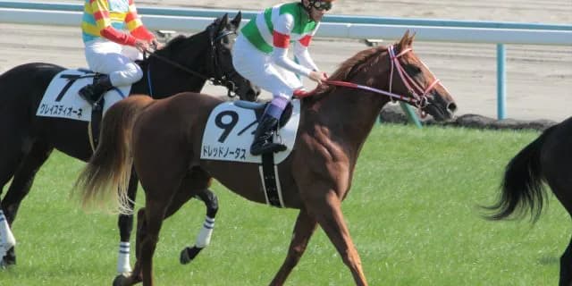 JRA京都記念（G2）ドレッドノータス、京都で再度の大駆けなるか