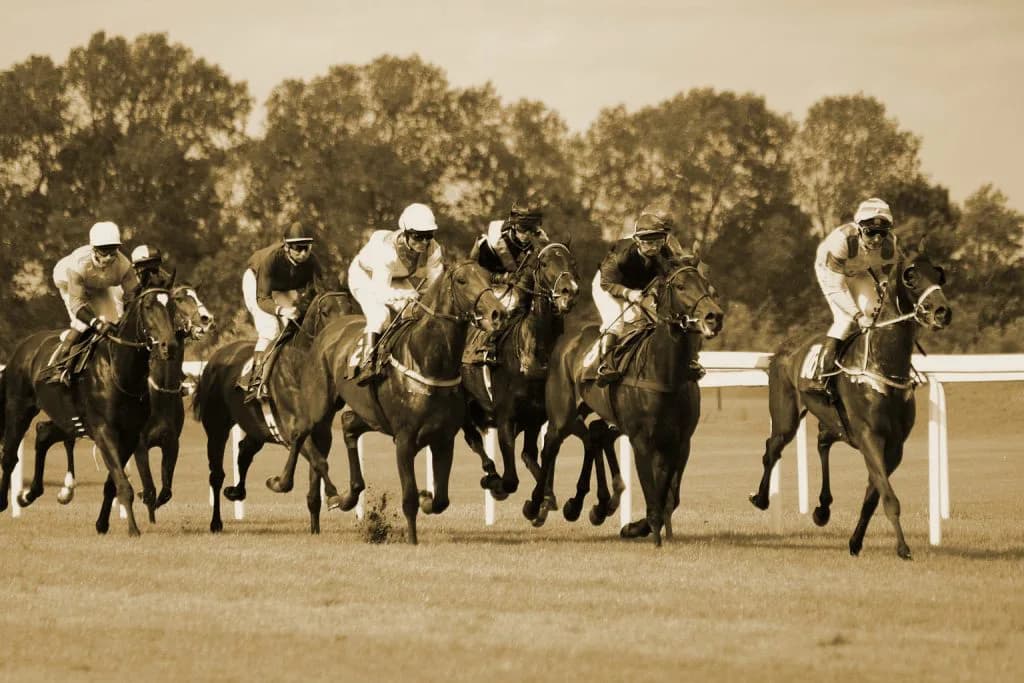 【信夫山特別2017予想】ハンデ戦でも1番人気に逆らえない？