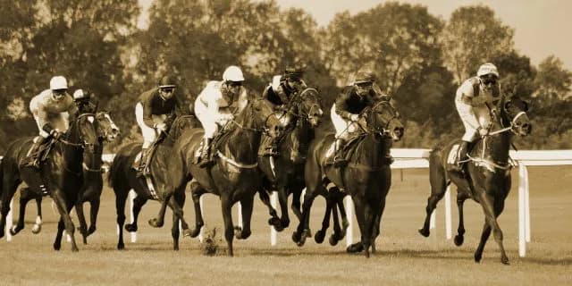 【信夫山特別2017予想】ハンデ戦でも1番人気に逆らえない？