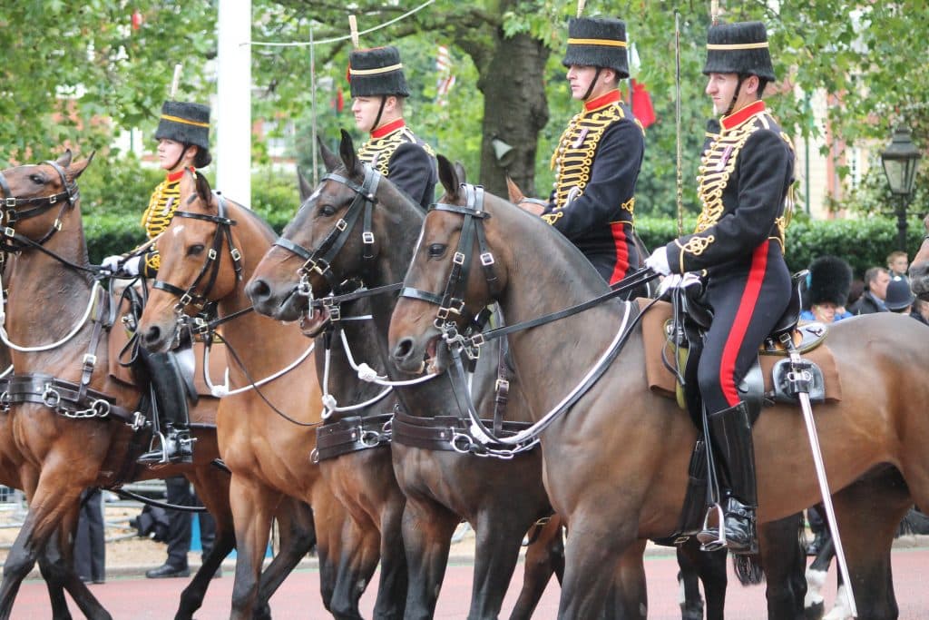珍しく（？）出走馬が豪華な日経賞考察