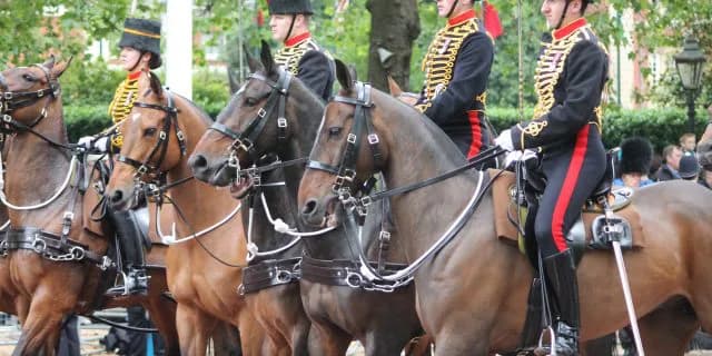 珍しく（？）出走馬が豪華な日経賞考察