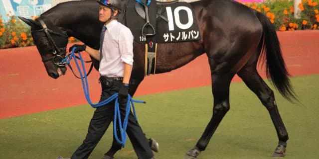 【スワンステークス2016予想】復活した京都巧者血統サトノルパンがその実力を見せつける！