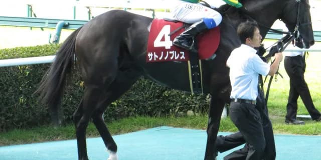 【宝塚記念2016出走馬】サトノノブレスから目を離せない！