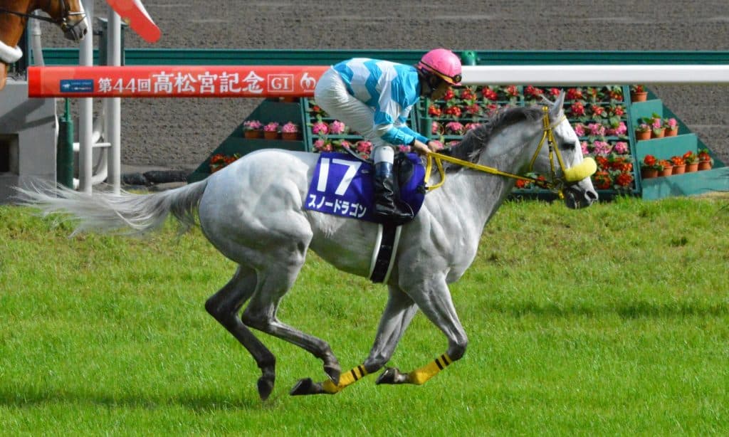 フルゲート割れ確定の今年のCBC賞