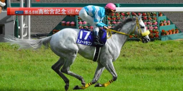 【オーシャンS予想2016】15ヶ月ぶりに復帰のスノードラゴン！