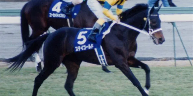 紆余曲折を経て偉大なる種牡馬となったステイゴールド