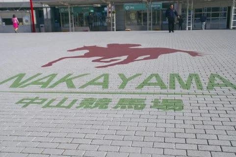 【オーシャンステークス予想2016】アルビアーノ、距離短縮＆乗り替わりはプラスか？