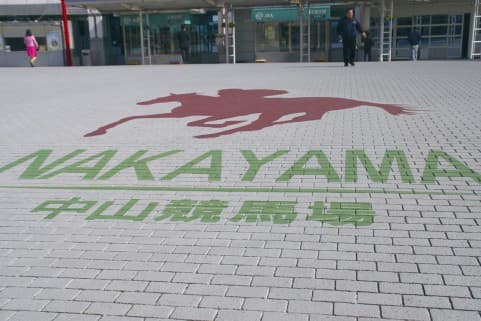 【オーシャンステークス予想2016】アルビアーノ、距離短縮＆乗り替わりはプラスか？