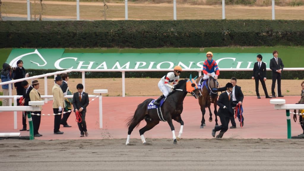 リピーターに有利（？）なドバイWC、頑張れホッコータルマエ！