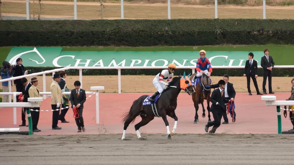 リピーターに有利（？）なドバイWC、頑張れホッコータルマエ！