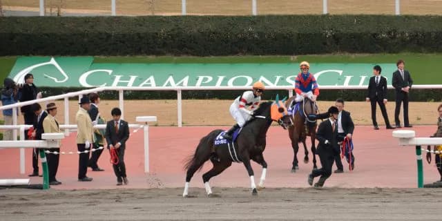 リピーターに有利(?)なドバイWC、頑張れホッコータルマエ!