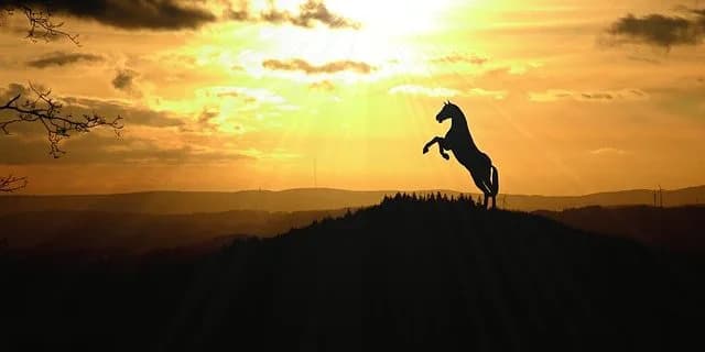 【阪神C予想2017】サングレーザー本格化？！短距離界をリードする存在となるか