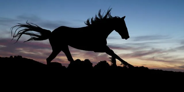 【オールカマー2018予想】晩成エアアンセムが強豪馬を迎え撃つか！