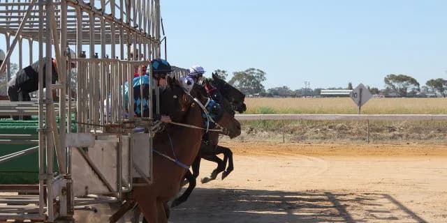 【マーチS2016回顧】ベテラン勢の意地が見えたマーチS