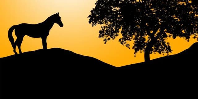 【チューリップ賞2016予想】トライアルだからこそ狙いたいこの馬！