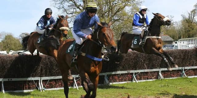 【阪神スプリングジャンプ2016】本命アップトゥデイト主戦林が負傷で戦線離脱！ここで奮起だ白浜騎手！