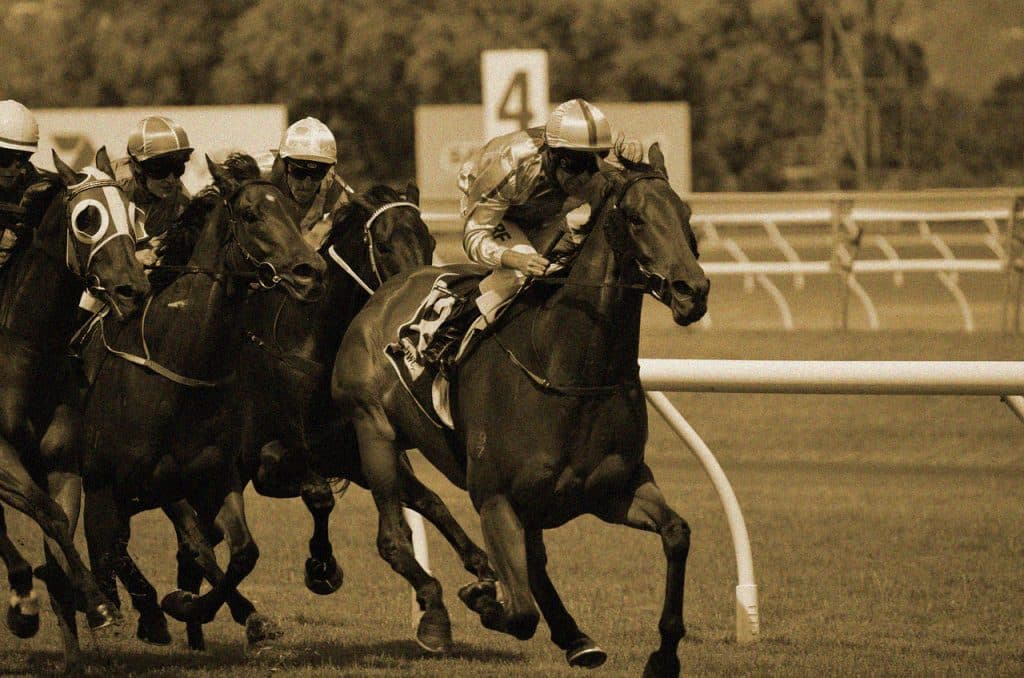 日本馬のレベルアップと共に失われた魅力。