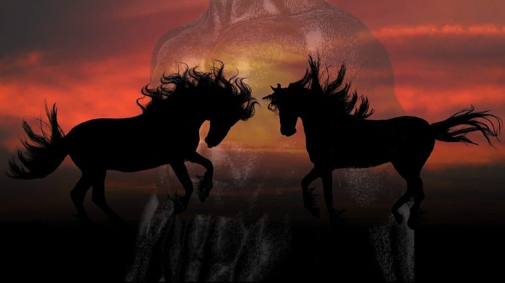 昨年覇者エアロヴェロシティ疝痛による断念で混戦模様の訪れ