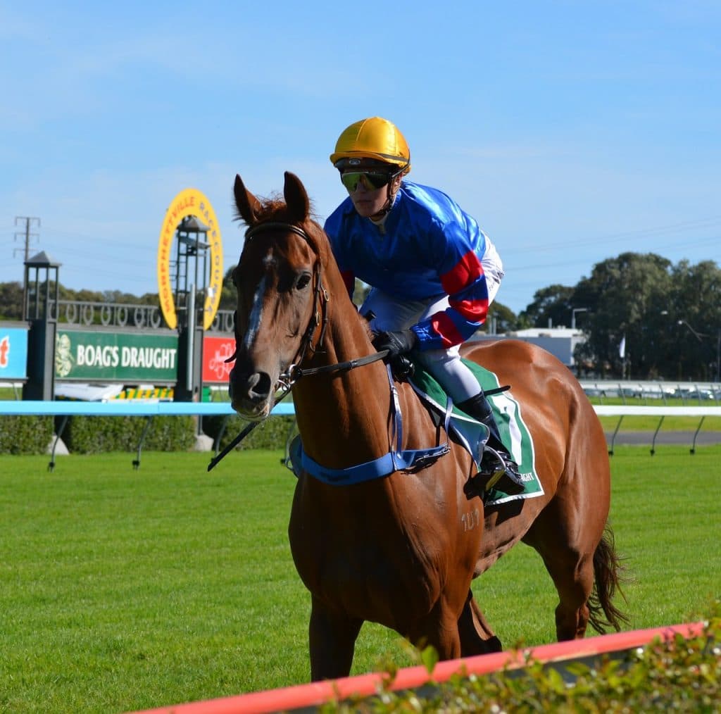 馬じゃなく騎手で買うという選択肢。貴方の一押しジョッキーは？