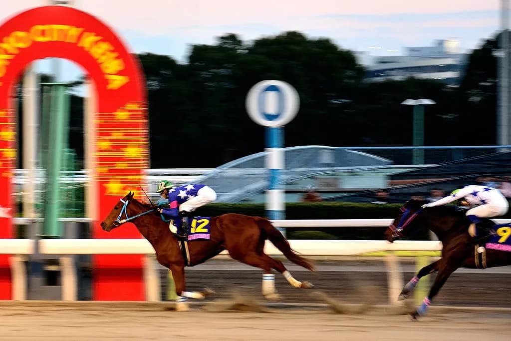 【桜花賞2016回顧】ジュエラーまず一冠！強かったチューリップ賞組！