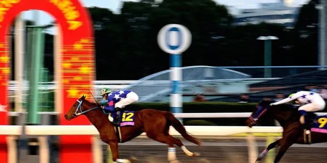 【桜花賞2016回顧】ジュエラーまず一冠！強かったチューリップ賞組！