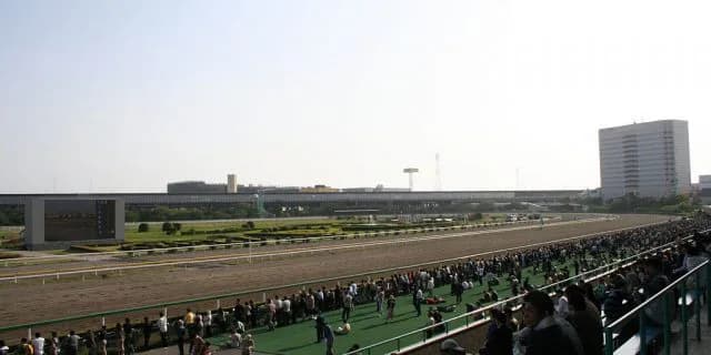 【マリーンC2016船橋】人気のブチコ・ヴィータアレグリアを抑えて注目したいディアマイダーリン