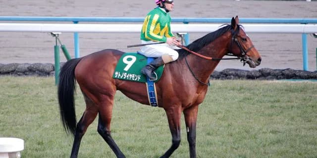 ミリオンホースの行方