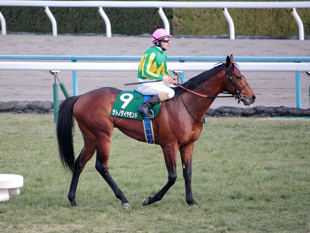 【日本ダービー2016出走馬】サトノダイヤモンド、世代随一の前評判を取り返すか！