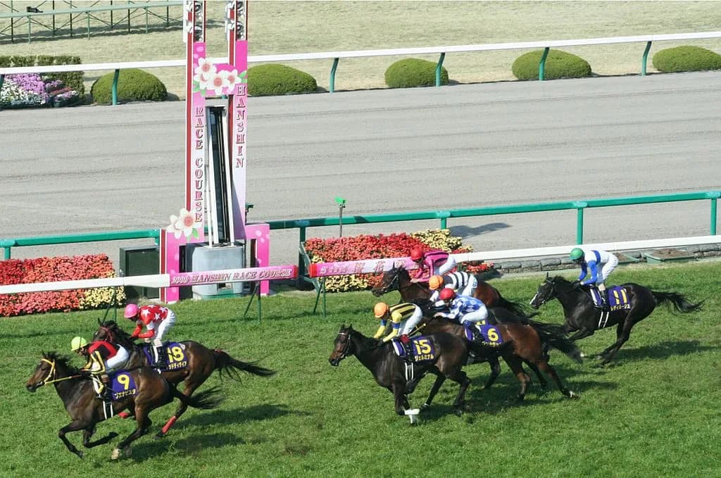 【桜花賞2016予想】メジャーエンブレムより大物のジュエラーが牝馬三冠へ！