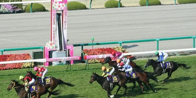 【桜花賞2016予想】メジャーエンブレムより大物のジュエラーが牝馬三冠へ！