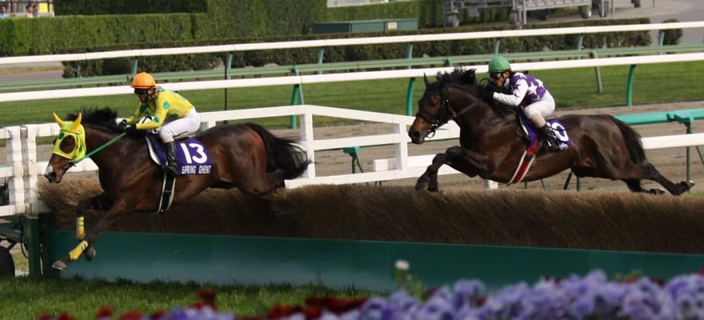 少数精鋭とは言いがたい残念な2016年中山グランドジャンプ