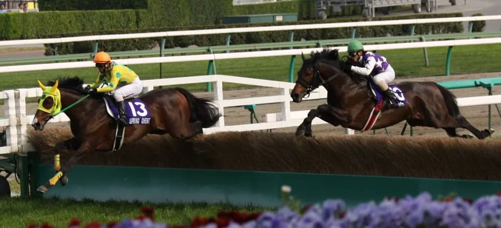 少数精鋭とは言いがたい残念な2016年中山グランドジャンプ