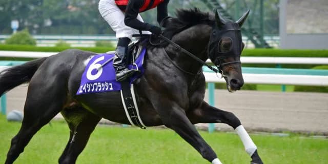 皐月賞3着からダービーを制した歴代の名馬たちに並ぶかサトノダイヤモンド