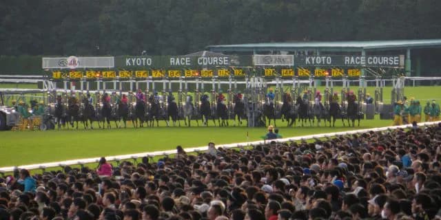 【天皇賞春2016予想】長距離適性が気になる馬4頭